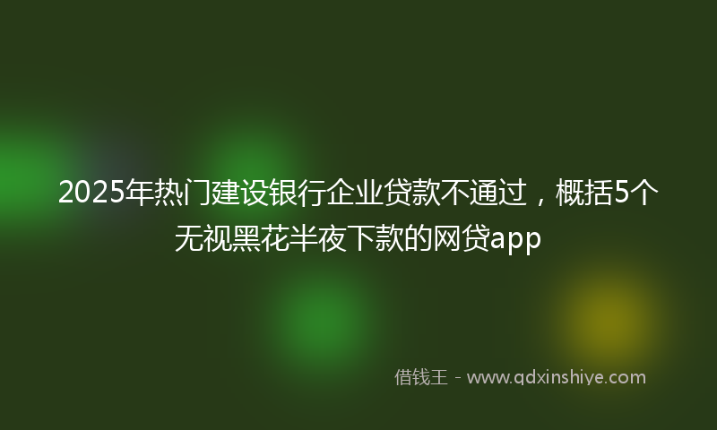 2025年热门建设银行企业贷款不通过，概括5个无视黑花半夜下款的网贷app
