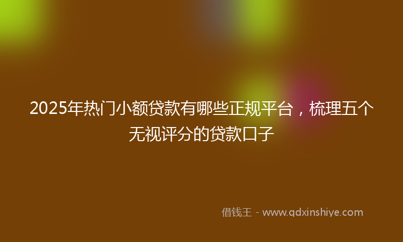 2025年热门小额贷款有哪些正规平台，梳理五个无视评分的贷款口子