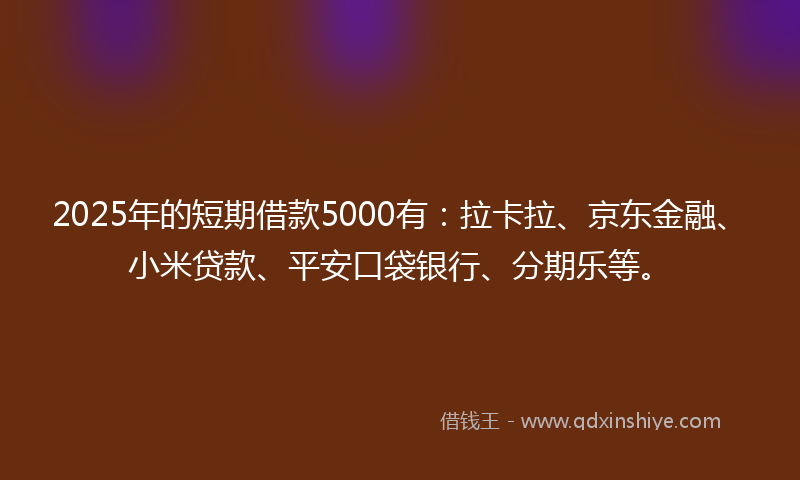 2025年的短期借款5000有：拉卡拉、京东金融、小米贷款、平安口袋银行、分期乐等。