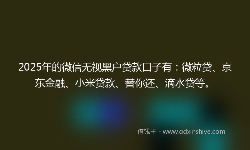 2025年的微信无视黑户贷款口子有：微粒贷、京东金融、小米贷款、替你还、滴水贷等。