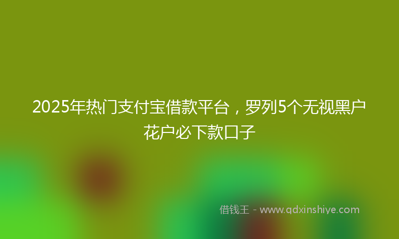 2025年热门支付宝借款平台，罗列5个无视黑户花户必下款口子