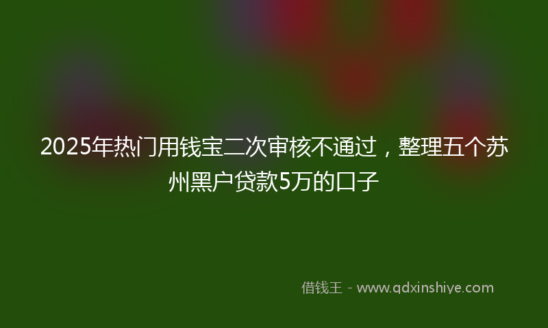 2025年热门用钱宝二次审核不通过，整理五个苏州黑户贷款5万的口子