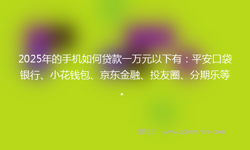 2025年的手机如何贷款一万元以下有：平安口袋银行、小花钱包、京东金融、投友圈、分期乐等。
