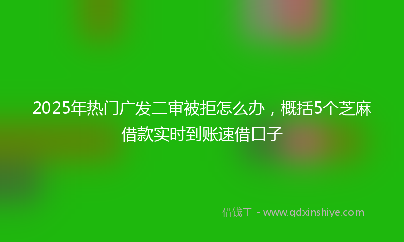 2025年热门广发二审被拒怎么办，概括5个芝麻借款实时到账速借口子