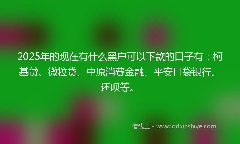2025年的现在有什么黑户可以下款的口子有：柯基贷、微粒贷、中原消费金融、平安口袋银行、还呗等。