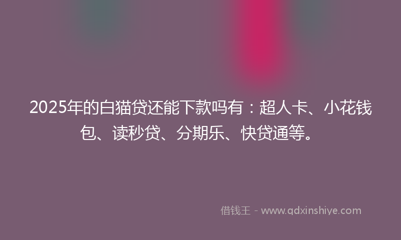 2025年的白猫贷还能下款吗有：超人卡、小花钱包、读秒贷、分期乐、快贷通等。
