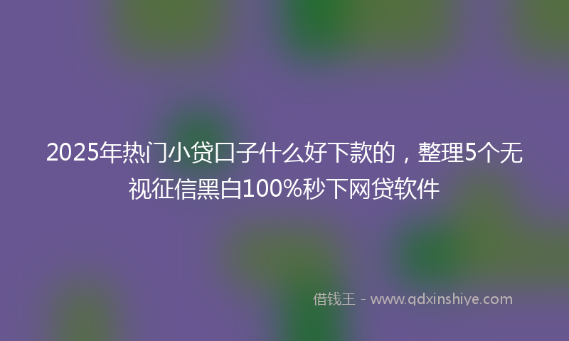 2025年热门小贷口子什么好下款的，整理5个无视征信黑白100%秒下网贷软件