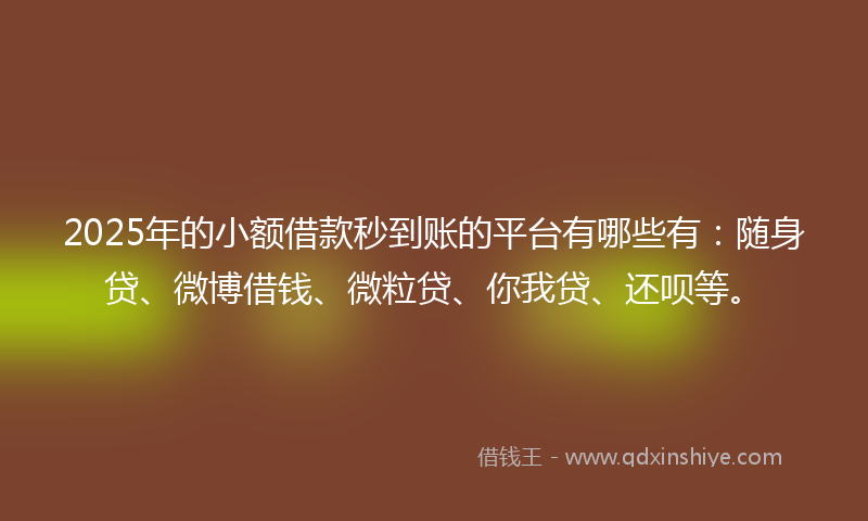 2025年的小额借款秒到账的平台有哪些有：随身贷、微博借钱、微粒贷、你我贷、还呗等。
