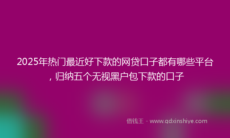 2025年热门最近好下款的网贷口子都有哪些平台，归纳五个无视黑户包下款的口子