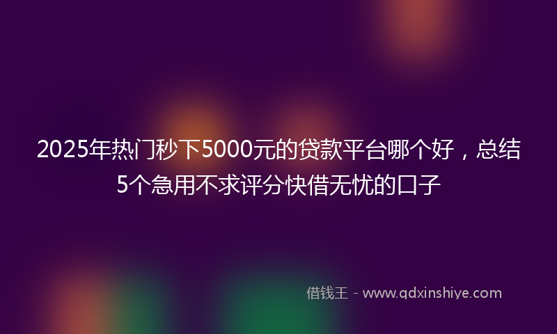 2025年热门秒下5000元的贷款平台哪个好，总结5个急用不求评分快借无忧的口子
