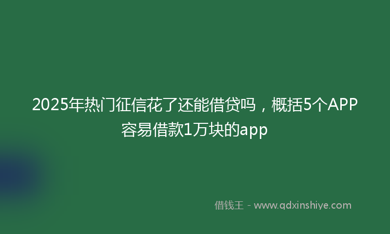 2025年热门征信花了还能借贷吗，概括5个APP容易借款1万块的app