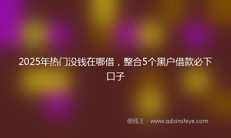 2025年热门没钱在哪借，整合5个黑户借款必下口子