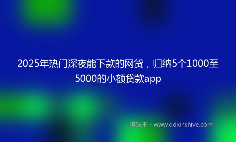 2025年热门深夜能下款的网贷，归纳5个1000至5000的小额贷款app