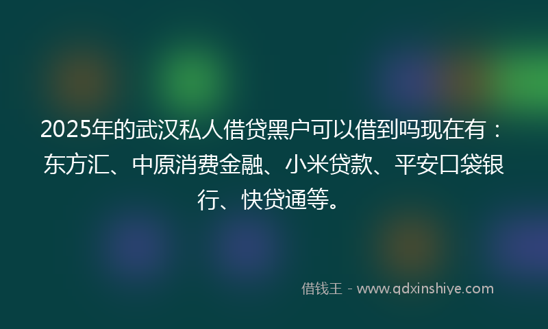 2025年的武汉私人借贷黑户可以借到吗现在有：东方汇、中原消费金融、小米贷款、平安口袋银行、快贷通等。