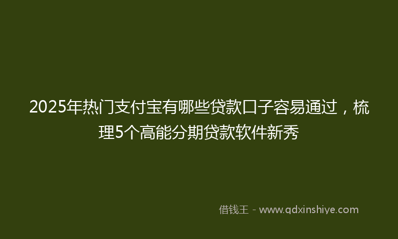 2025年热门支付宝有哪些贷款口子容易通过，梳理5个高能分期贷款软件新秀