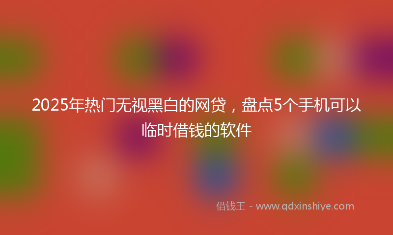 2025年热门无视黑白的网贷，盘点5个手机可以临时借钱的软件