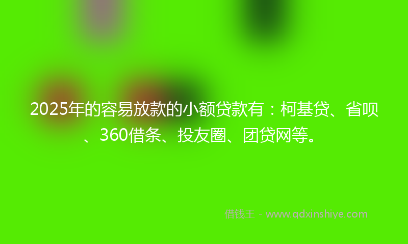 2025年的容易放款的小额贷款有：柯基贷、省呗、360借条、投友圈、团贷网等。