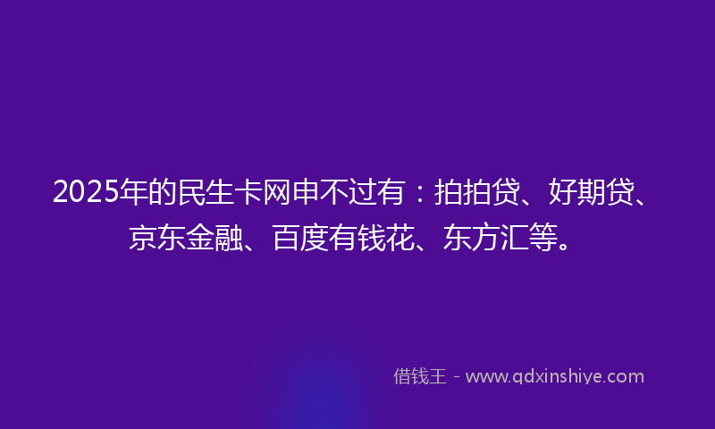 2025年的民生卡网申不过有：拍拍贷、好期贷、京东金融、百度有钱花、东方汇等。