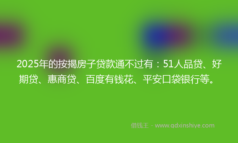 2025年的按揭房子贷款通不过有：51人品贷、好期贷、惠商贷、百度有钱花、平安口袋银行等。