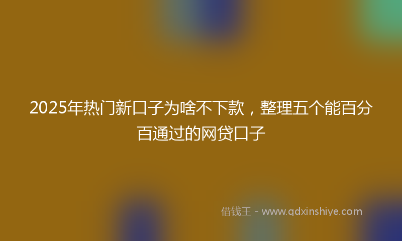 2025年热门新口子为啥不下款，整理五个能百分百通过的网贷口子