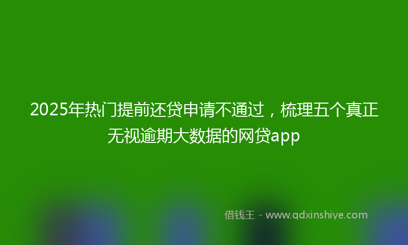 2025年热门提前还贷申请不通过，梳理五个真正无视逾期大数据的网贷app