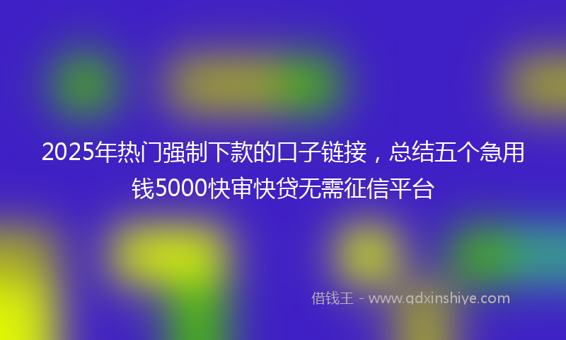 2025年热门强制下款的口子链接，总结五个急用钱5000快审快贷无需征信平台