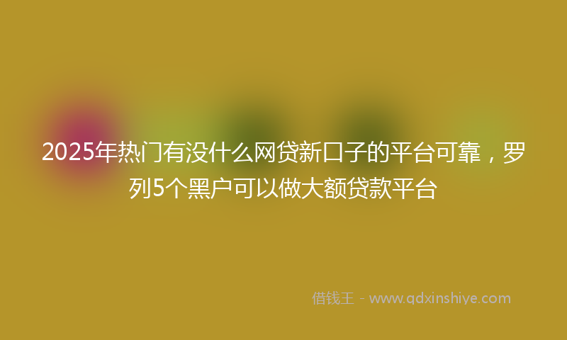 2025年热门有没什么网贷新口子的平台可靠，罗列5个黑户可以做大额贷款平台