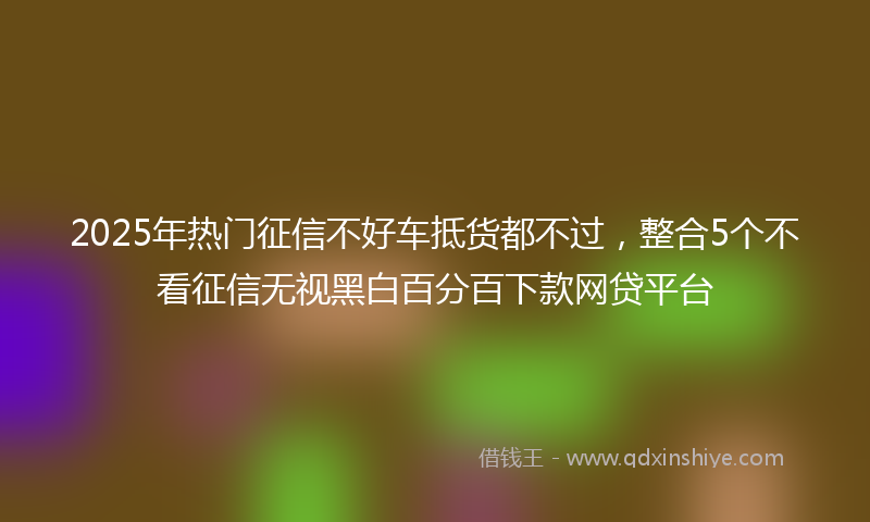 2025年热门征信不好车抵货都不过，整合5个不看征信无视黑白百分百下款网贷平台