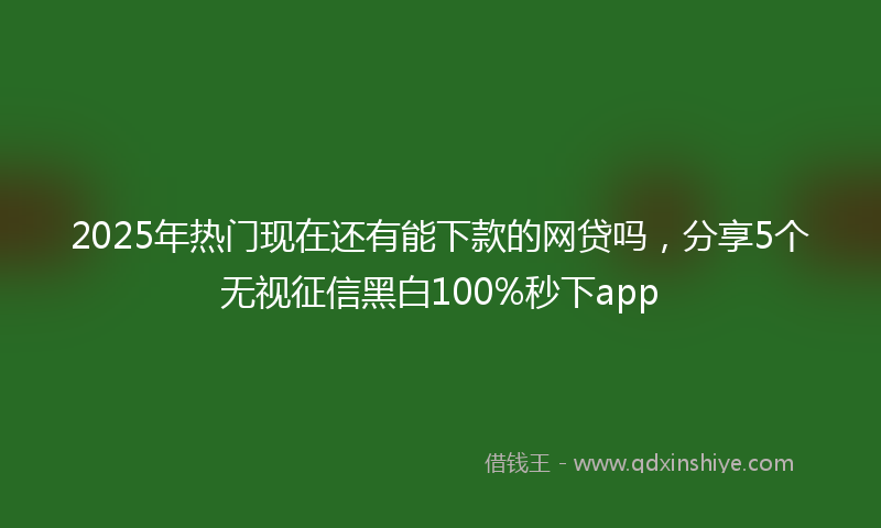 2025年热门现在还有能下款的网贷吗，分享5个无视征信黑白100%秒下app