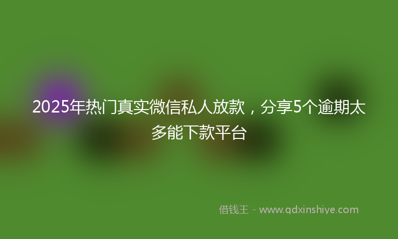 2025年热门真实微信私人放款，分享5个逾期太多能下款平台