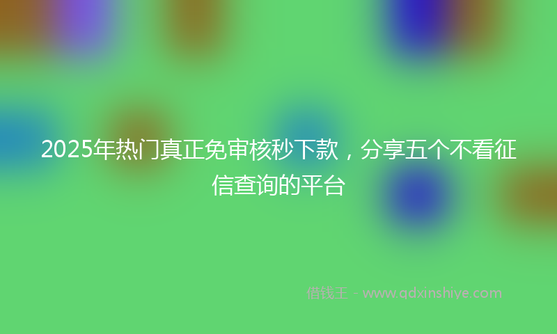 2025年热门真正免审核秒下款，分享五个不看征信查询的平台