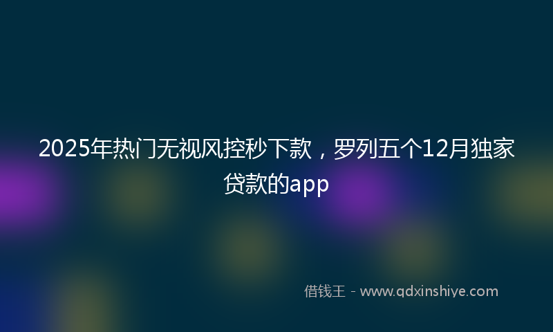 2025年热门无视风控秒下款，罗列五个12月独家贷款的app