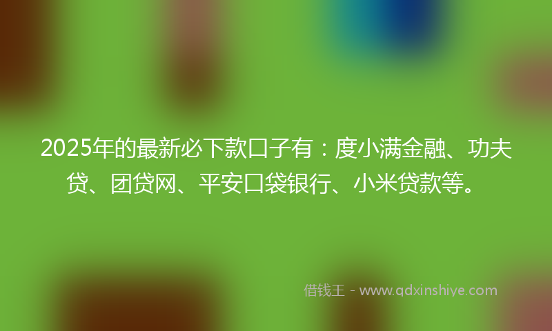 2025年的最新必下款口子有：度小满金融、功夫贷、团贷网、平安口袋银行、小米贷款等。