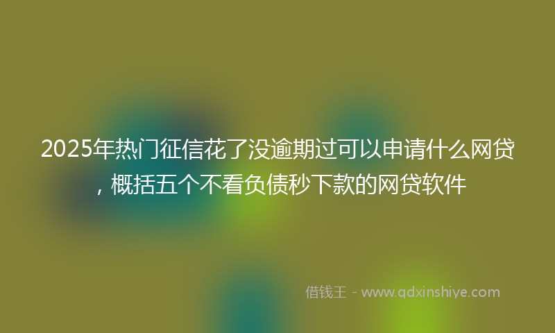 2025年热门征信花了没逾期过可以申请什么网贷，概括五个不看负债秒下款的网贷软件