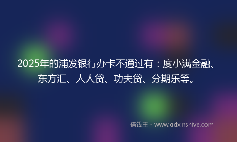 2025年的浦发银行办卡不通过有：度小满金融、东方汇、人人贷、功夫贷、分期乐等。