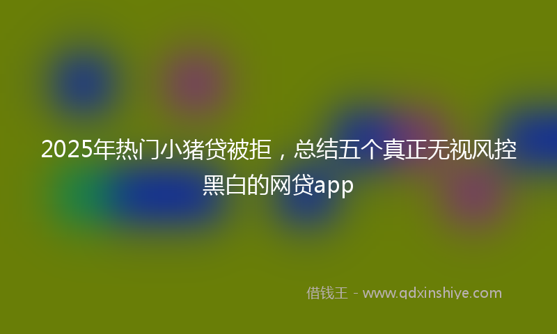 2025年热门小猪贷被拒，总结五个真正无视风控黑白的网贷app