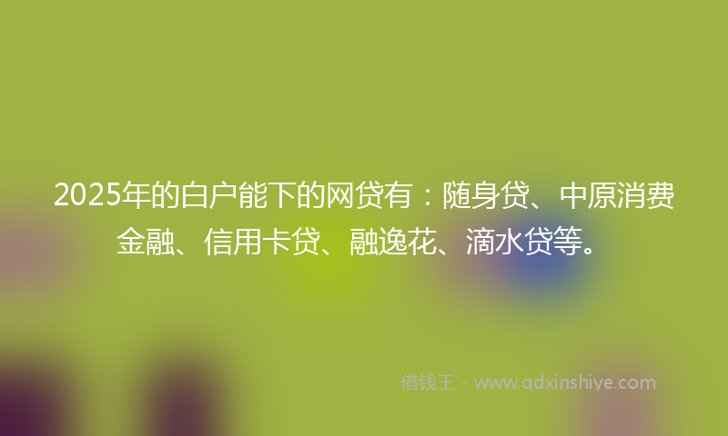 2025年的白户能下的网贷有：随身贷、中原消费金融、信用卡贷、融逸花、滴水贷等。