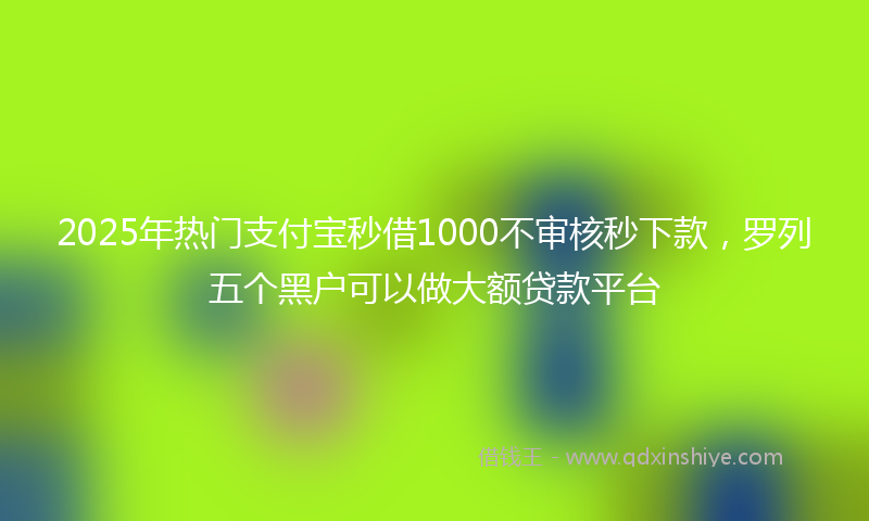 2025年热门支付宝秒借1000不审核秒下款，罗列五个黑户可以做大额贷款平台