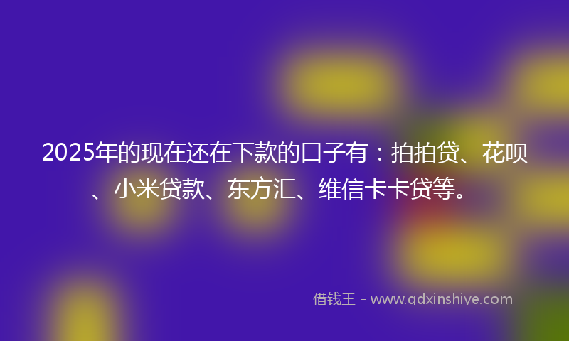 2025年的现在还在下款的口子有：拍拍贷、花呗、小米贷款、东方汇、维信卡卡贷等。