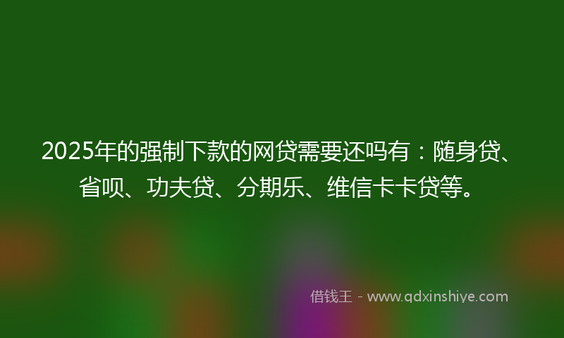 2025年的强制下款的网贷需要还吗有：随身贷、省呗、功夫贷、分期乐、维信卡卡贷等。