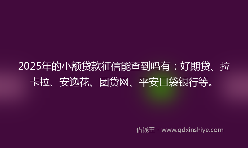 2025年的小额贷款征信能查到吗有：好期贷、拉卡拉、安逸花、团贷网、平安口袋银行等。