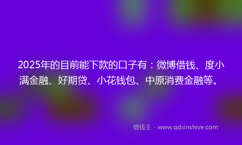 2025年的目前能下款的口子有：微博借钱、度小满金融、好期贷、小花钱包、中原消费金融等。