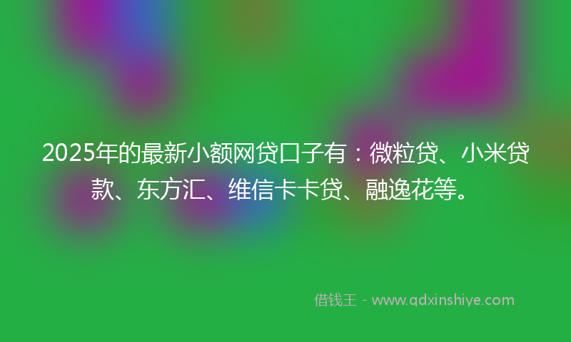 2025年的最新小额网贷口子有：微粒贷、小米贷款、东方汇、维信卡卡贷、融逸花等。