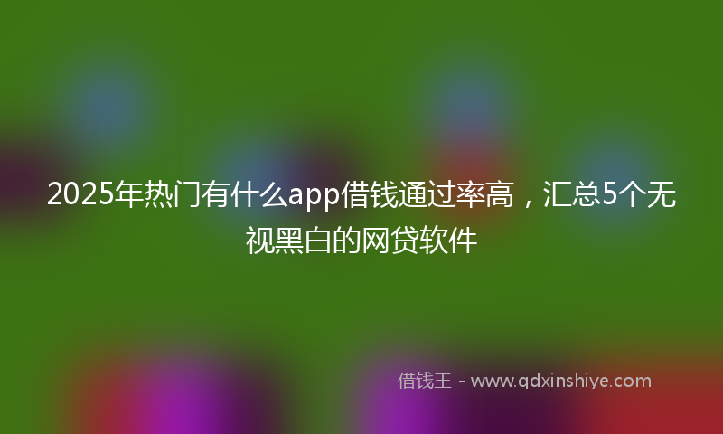 2025年热门有什么app借钱通过率高，汇总5个无视黑白的网贷软件
