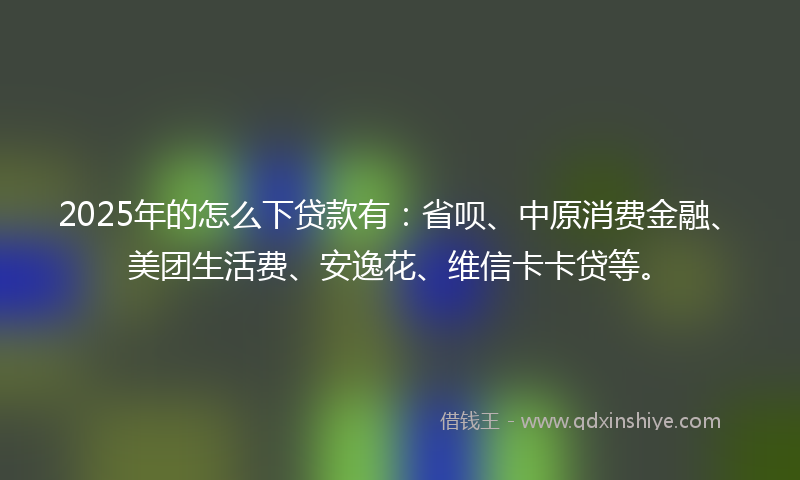 2025年的怎么下贷款有：省呗、中原消费金融、美团生活费、安逸花、维信卡卡贷等。