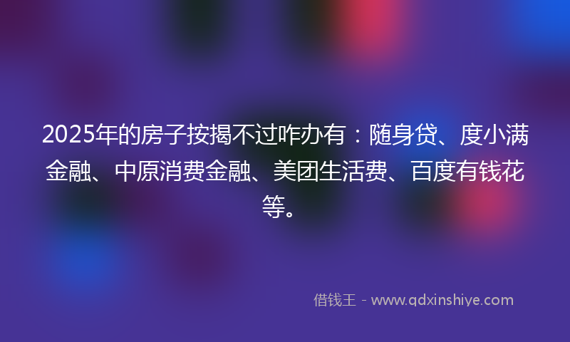 2025年的房子按揭不过咋办有：随身贷、度小满金融、中原消费金融、美团生活费、百度有钱花等。