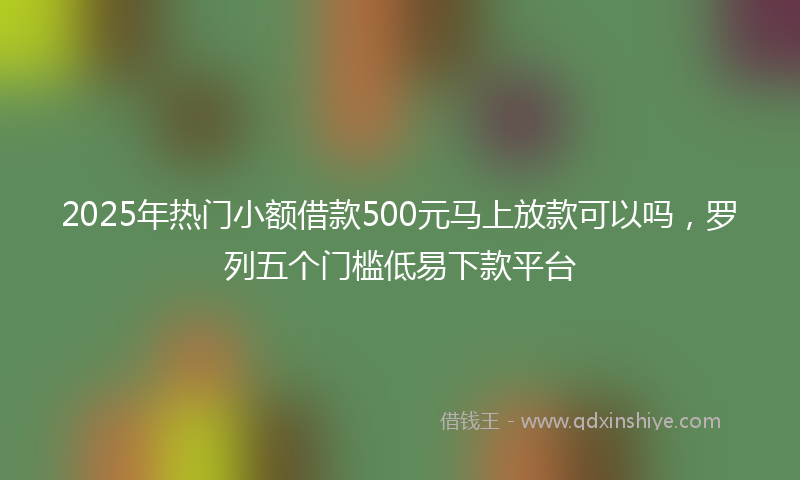 2025年热门小额借款500元马上放款可以吗，罗列五个门槛低易下款平台