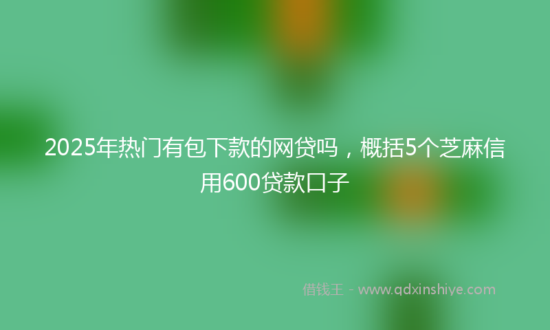 2025年热门有包下款的网贷吗，概括5个芝麻信用600贷款口子