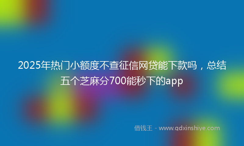 2025年热门小额度不查征信网贷能下款吗，总结五个芝麻分700能秒下的app