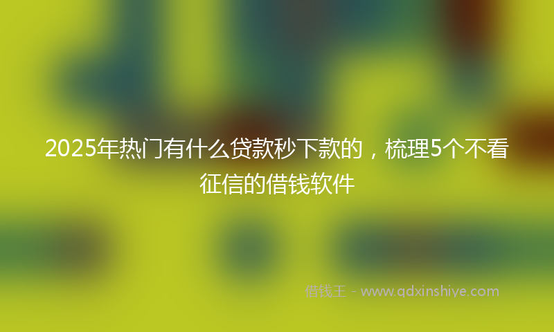 2025年热门有什么贷款秒下款的，梳理5个不看征信的借钱软件